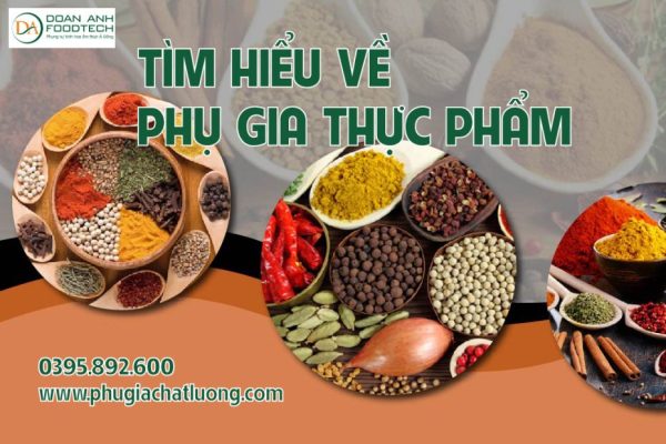 phu gia thuc pham la gi